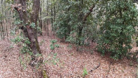 1319 Lakeshore Drive Camden SC 29020-0000