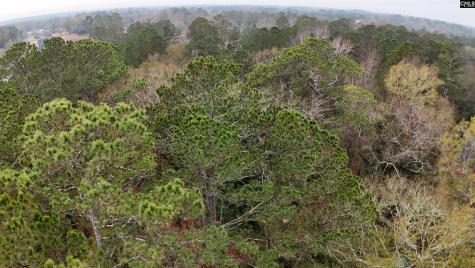 1319 Lakeshore Drive Camden SC 29020-0000