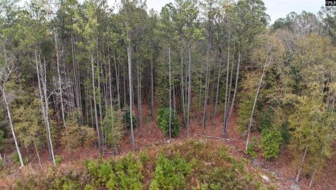 1319 Lakeshore Drive Camden SC 29020-0000