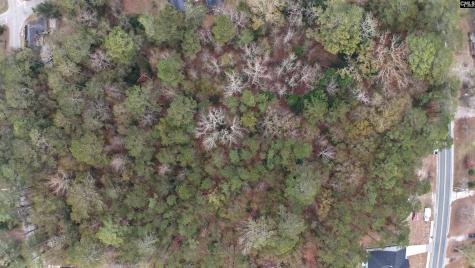 1319 Lakeshore Drive Camden SC 29020-0000