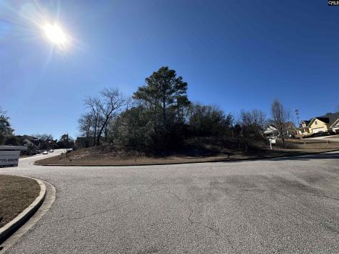 129 Mayhaw Drive Columbia SC 29206