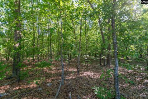 000 Airport Road Pageland SC 29728