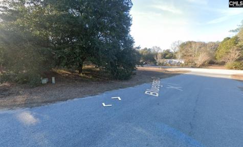 70 Sawgrass Court Sumter SC 29150