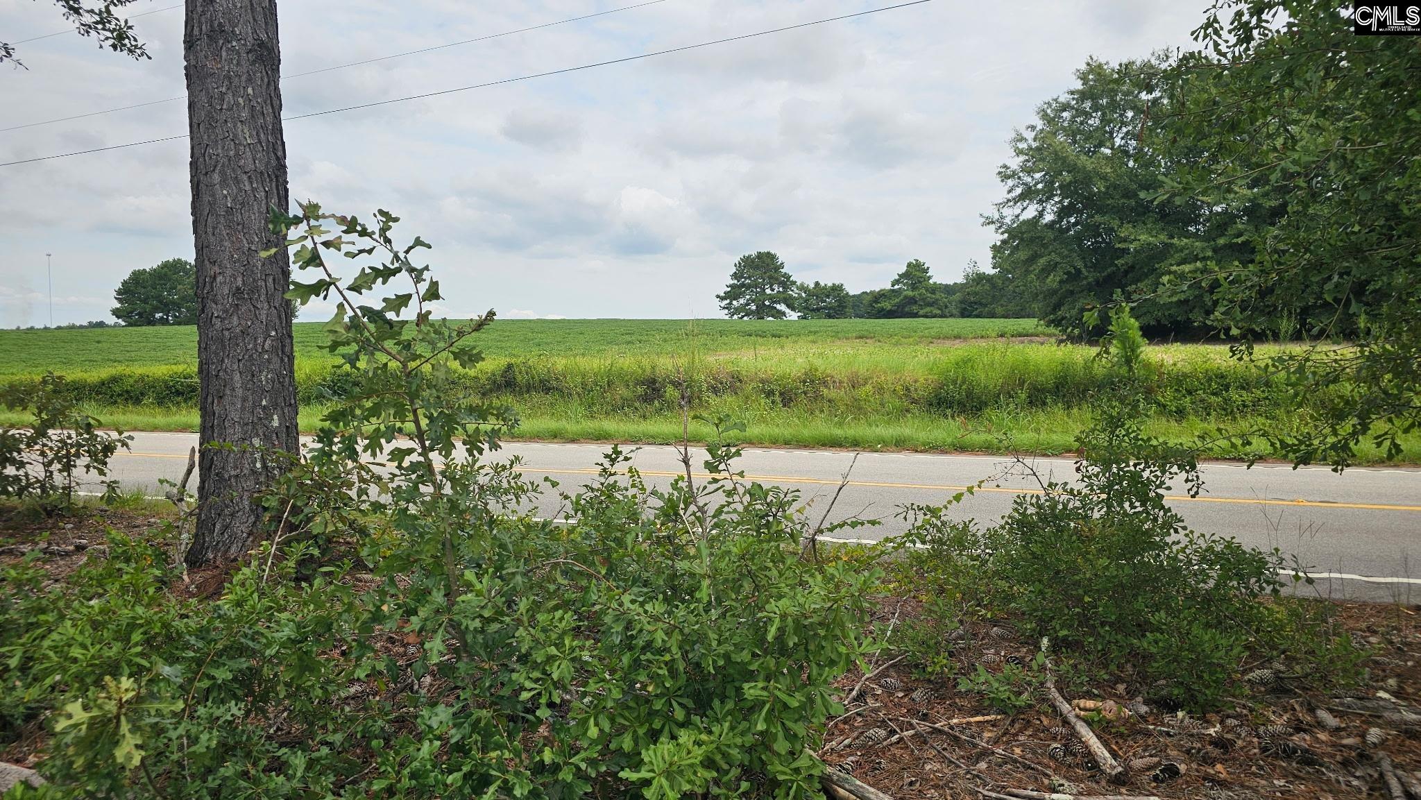 Tbd Piper Road Trenton SC 29847