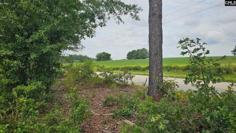 Tbd Piper Road Trenton SC 29847