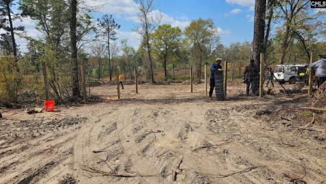 Tbd Piper Road Trenton SC 29847
