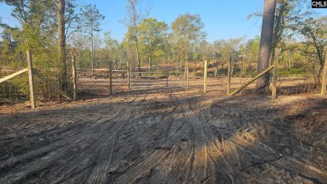Tbd Piper Road Trenton SC 29847
