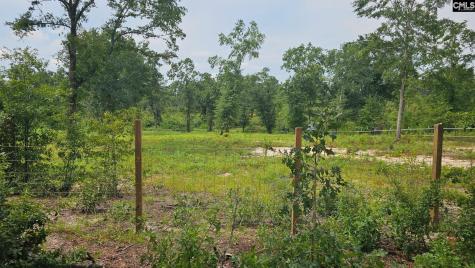 Tbd Piper Road Trenton SC 29847