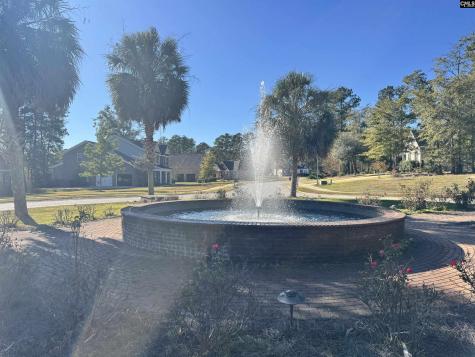 9 Legacy Court Camden SC 29020-0000