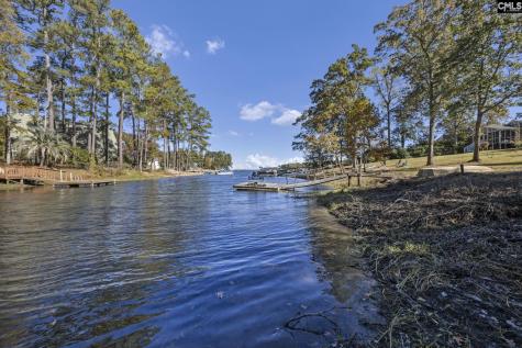 144 Beechcreek Circle Lexington SC 29072-9731