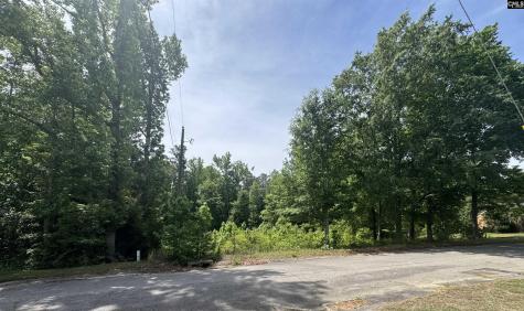 451 Kendall Drive Batesburg SC 29006