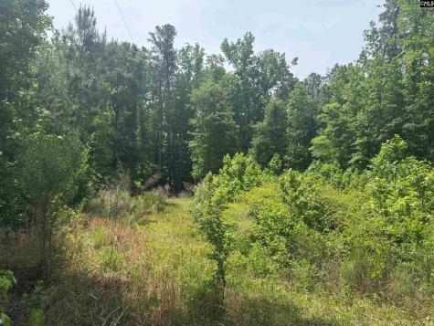451 Kendall Drive Batesburg SC 29006