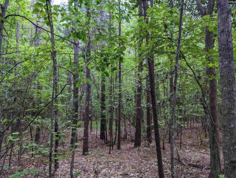 Syrup Mill Road Ridgeway SC 29130