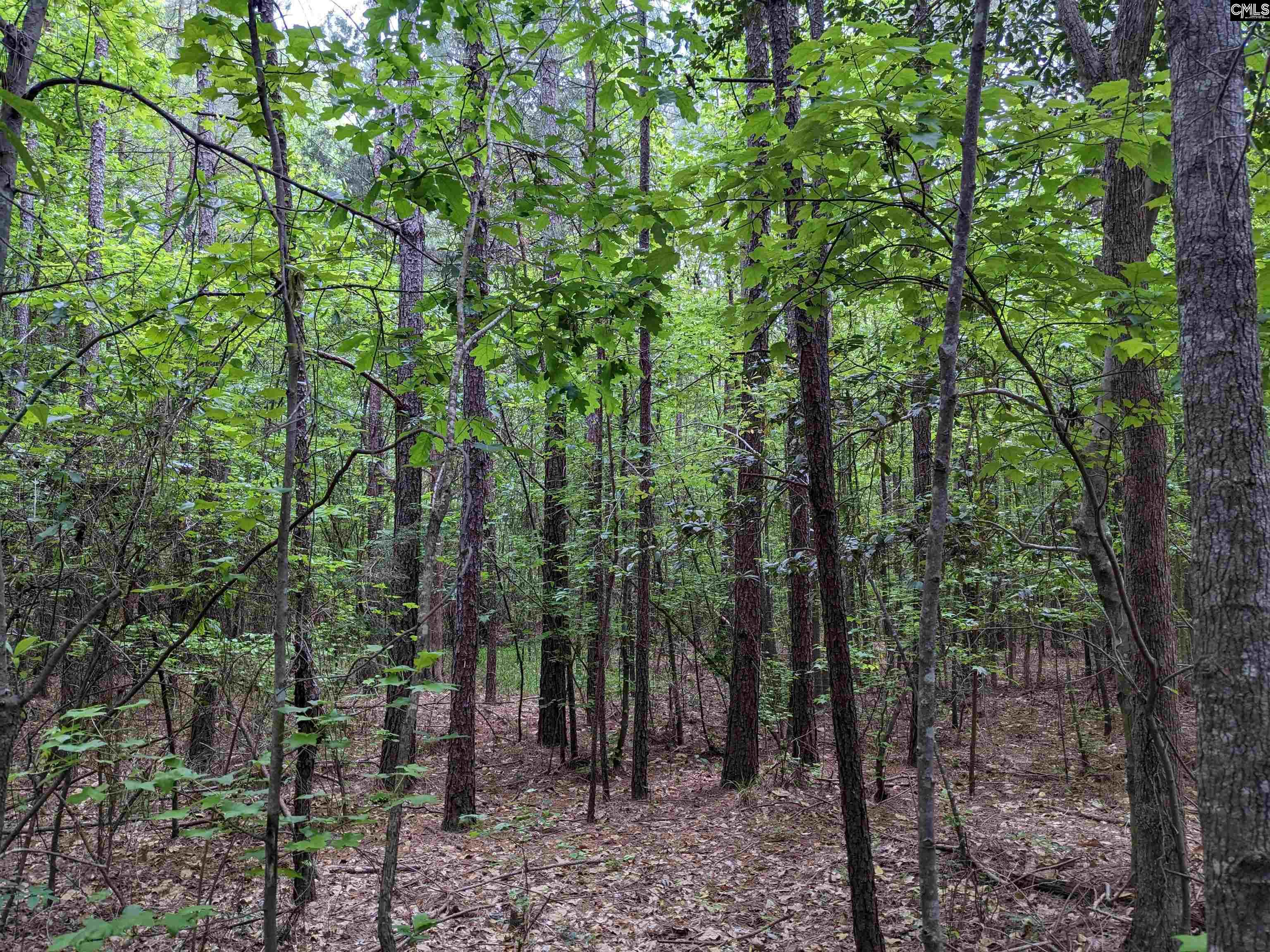 Syrup Mill Road Ridgeway SC 29130