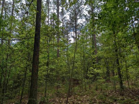 Syrup Mill Road Ridgeway SC 29130
