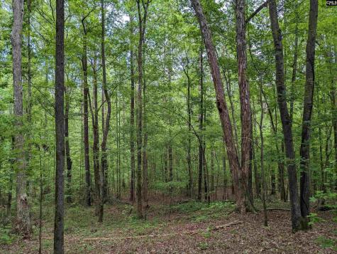 Syrup Mill Road Ridgeway SC 29130