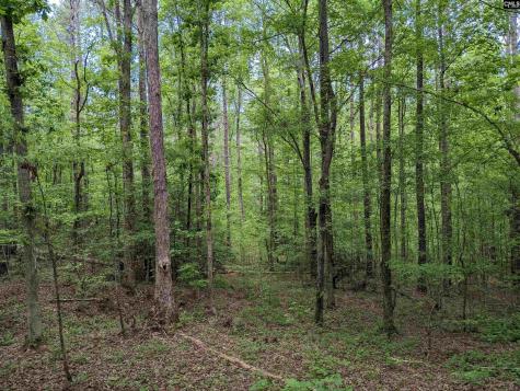 Syrup Mill Road Ridgeway SC 29130