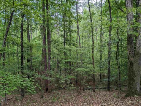 Syrup Mill Road Ridgeway SC 29130