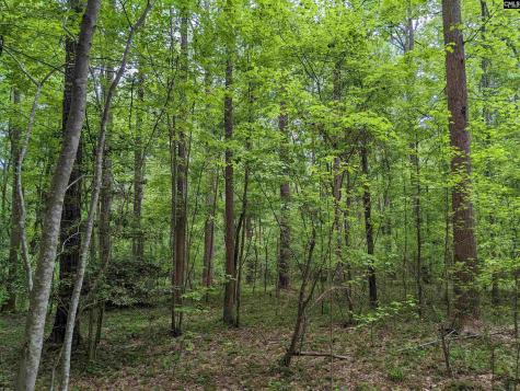 Syrup Mill Road Ridgeway SC 29130