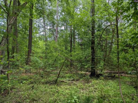 Syrup Mill Road Ridgeway SC 29130