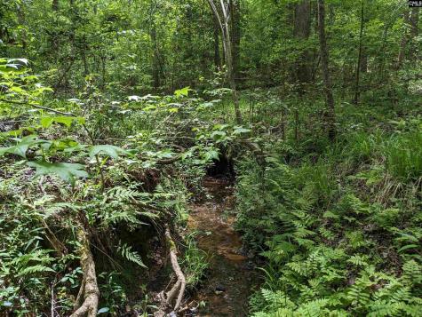 Syrup Mill Road Ridgeway SC 29130