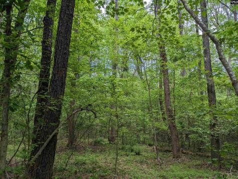 Syrup Mill Road Ridgeway SC 29130