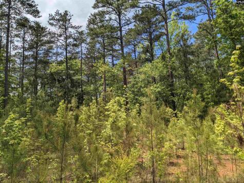 Syrup Mill Road Ridgeway SC 29130