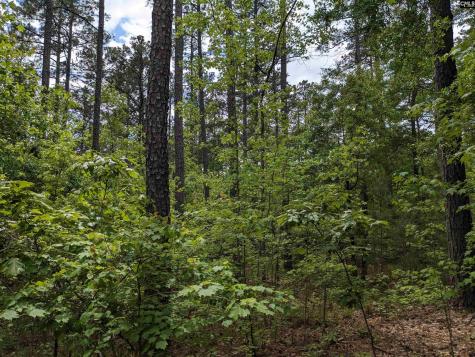 Syrup Mill Road Ridgeway SC 29130