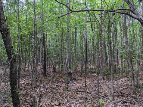 Syrup Mill Road Ridgeway SC 29130
