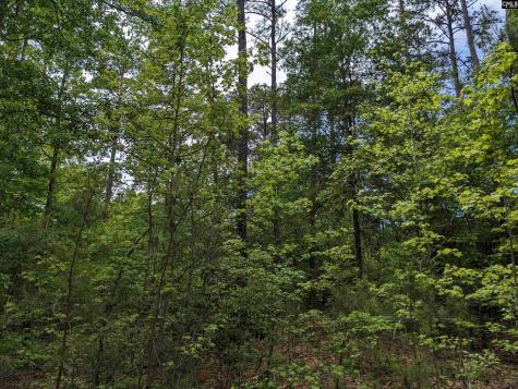 Syrup Mill Road Ridgeway SC 29130