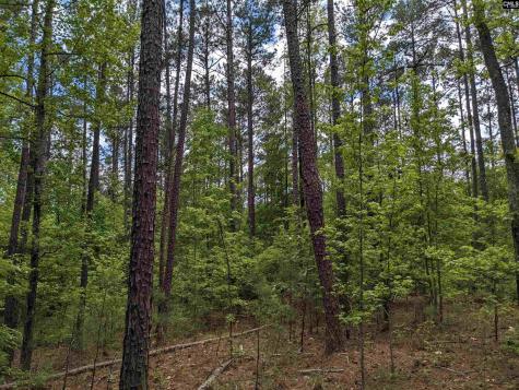Syrup Mill Road Ridgeway SC 29130