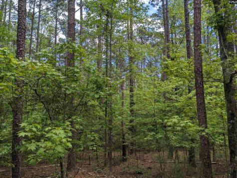 Syrup Mill Road Ridgeway SC 29130