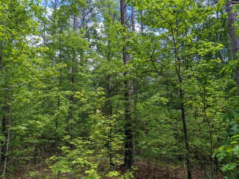 Syrup Mill Road Ridgeway SC 29130