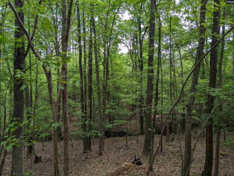 Syrup Mill Road Ridgeway SC 29130