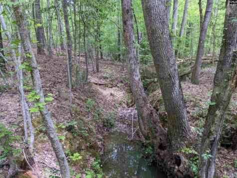 Syrup Mill Road Ridgeway SC 29130