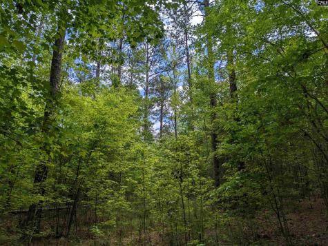 Syrup Mill Road Ridgeway SC 29130