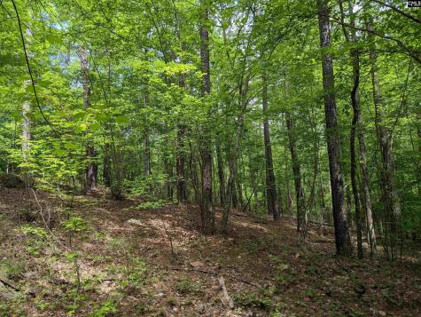Syrup Mill Road Ridgeway SC 29130