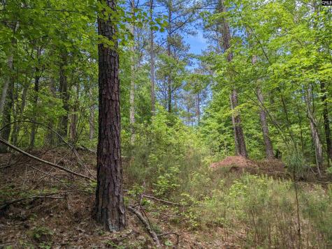 Syrup Mill Road Ridgeway SC 29130