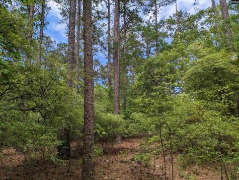 Syrup Mill Road Ridgeway SC 29130