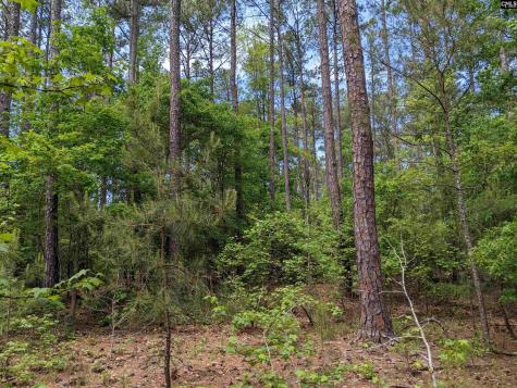 Syrup Mill Road Ridgeway SC 29130