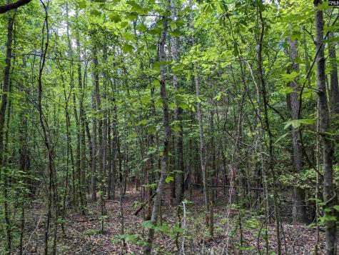 Syrup Mill Road Ridgeway SC 29130