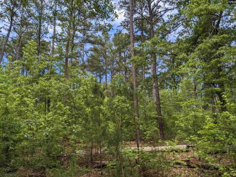 Syrup Mill Road Ridgeway SC 29130