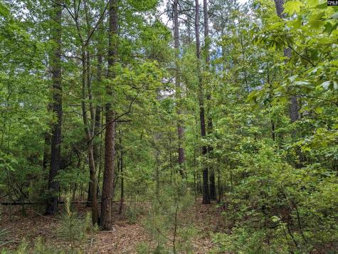 Syrup Mill Road Ridgeway SC 29130