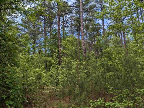 Syrup Mill Road Ridgeway SC 29130