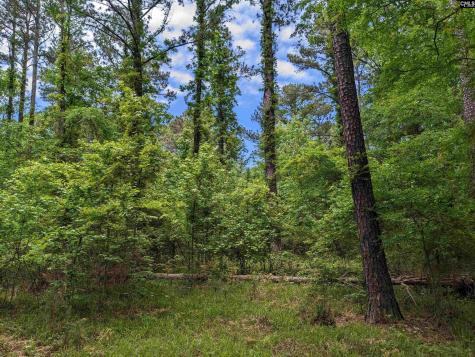 Syrup Mill Road Ridgeway SC 29130
