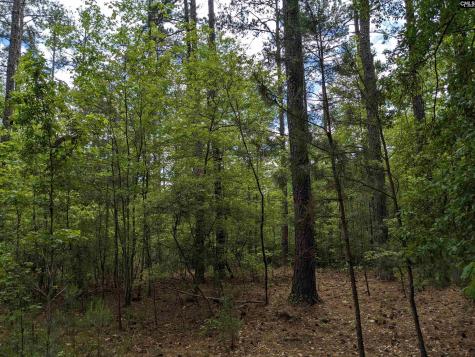 Syrup Mill Road Ridgeway SC 29130