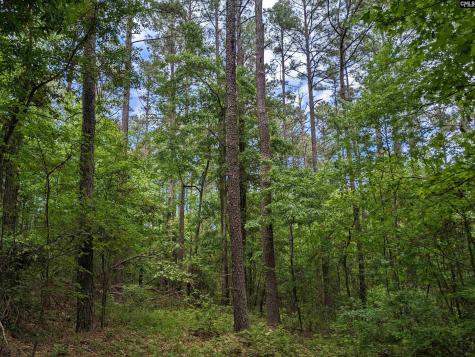 Syrup Mill Road Ridgeway SC 29130