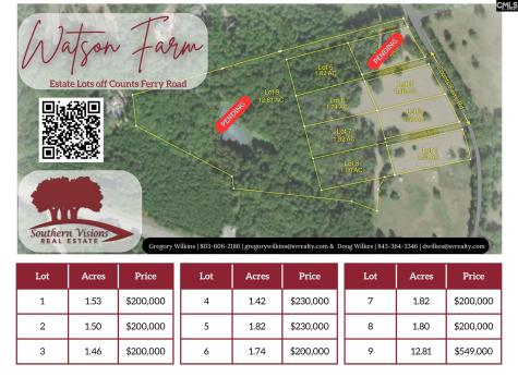 0 Counts Ferry Road Lot 9 Lexington SC 29072