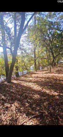 301 7th Avenue Mt Pleasant SC 29464