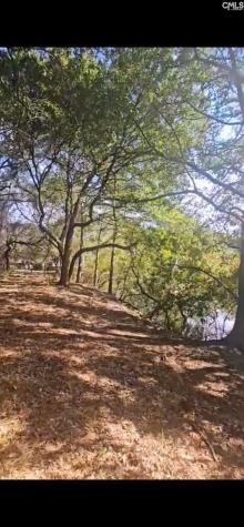 301 7th Avenue Mt Pleasant SC 29464